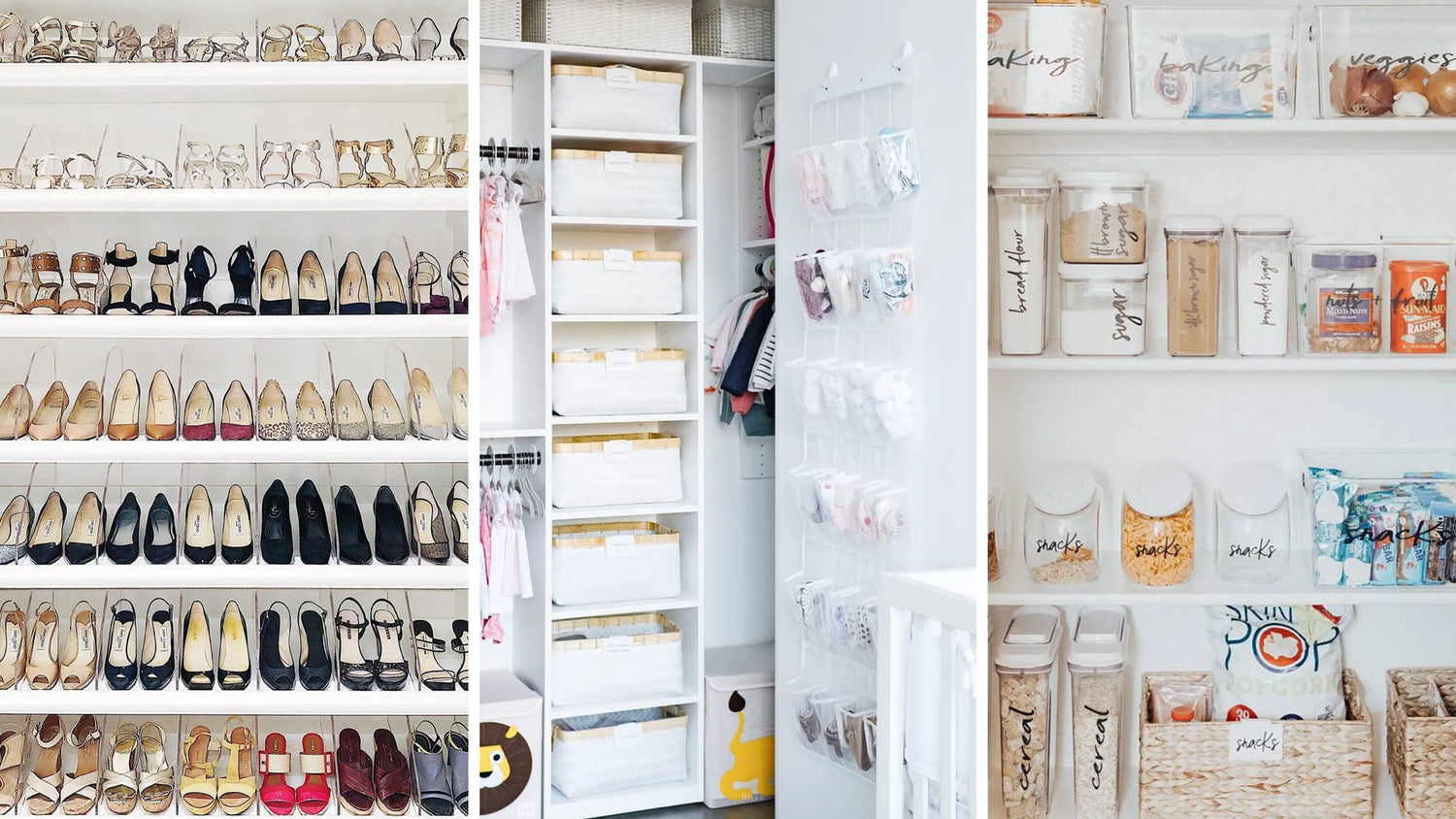 Organization & Storage